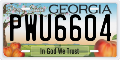 GA license plate PWU6604