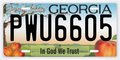 GA license plate PWU6605