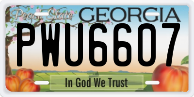 GA license plate PWU6607