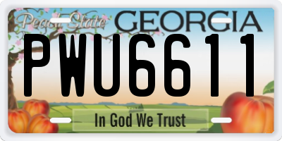 GA license plate PWU6611