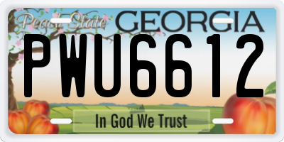 GA license plate PWU6612