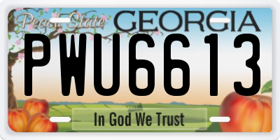 GA license plate PWU6613