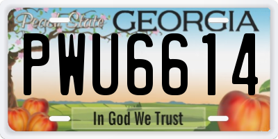 GA license plate PWU6614