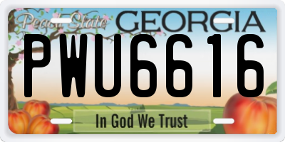 GA license plate PWU6616