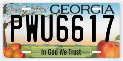 GA license plate PWU6617