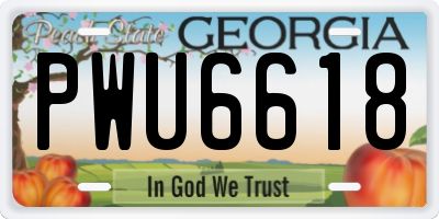 GA license plate PWU6618