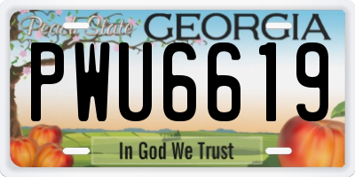 GA license plate PWU6619