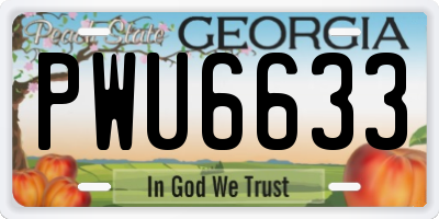 GA license plate PWU6633