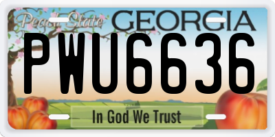 GA license plate PWU6636