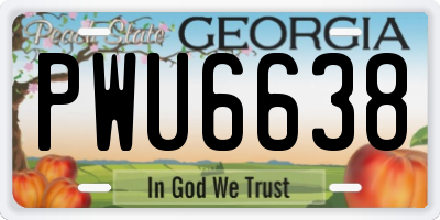 GA license plate PWU6638