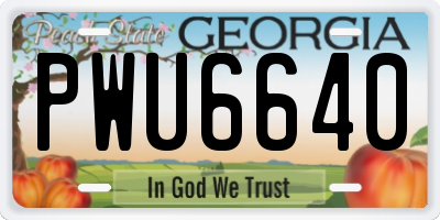GA license plate PWU6640