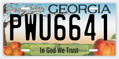 GA license plate PWU6641