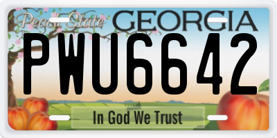GA license plate PWU6642
