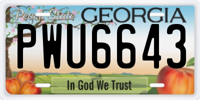 GA license plate PWU6643