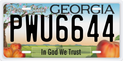 GA license plate PWU6644