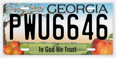 GA license plate PWU6646