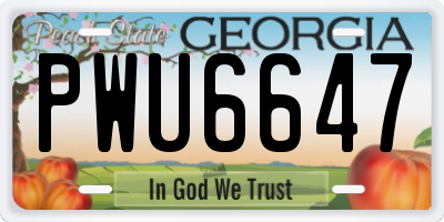 GA license plate PWU6647