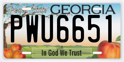 GA license plate PWU6651