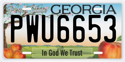 GA license plate PWU6653