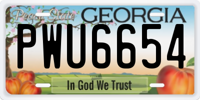 GA license plate PWU6654