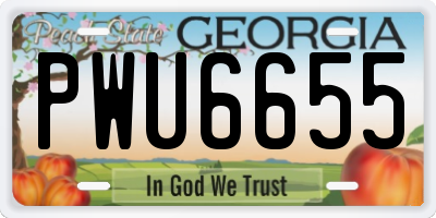 GA license plate PWU6655