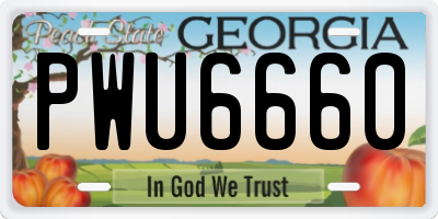 GA license plate PWU6660
