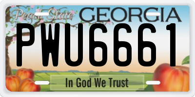 GA license plate PWU6661