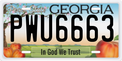 GA license plate PWU6663