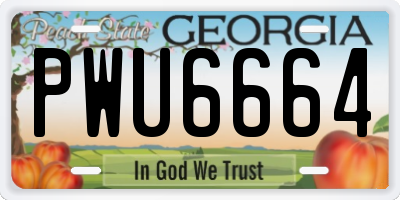 GA license plate PWU6664