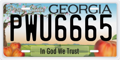 GA license plate PWU6665