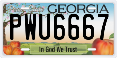 GA license plate PWU6667