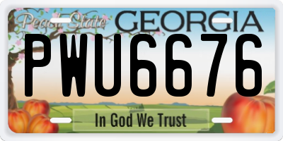 GA license plate PWU6676