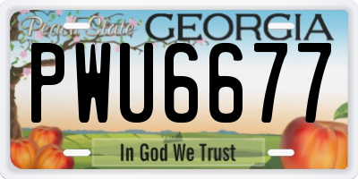 GA license plate PWU6677