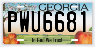 GA license plate PWU6681