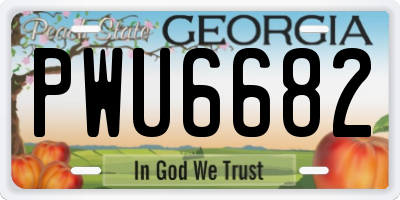 GA license plate PWU6682