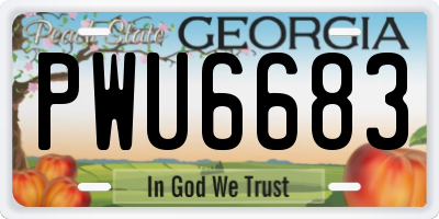 GA license plate PWU6683