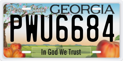 GA license plate PWU6684