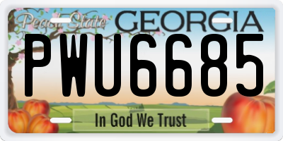GA license plate PWU6685