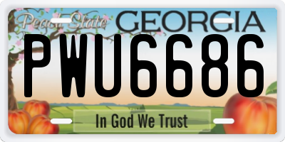 GA license plate PWU6686