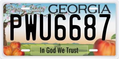 GA license plate PWU6687