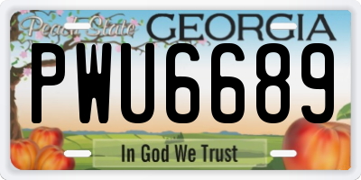 GA license plate PWU6689