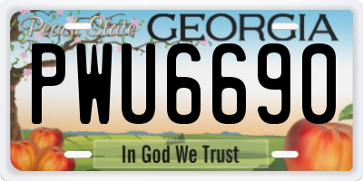 GA license plate PWU6690