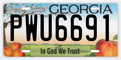 GA license plate PWU6691