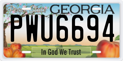 GA license plate PWU6694