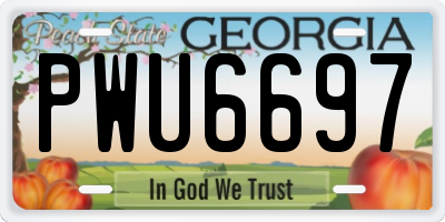 GA license plate PWU6697