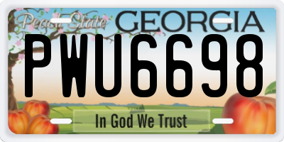 GA license plate PWU6698