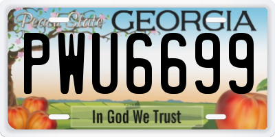GA license plate PWU6699