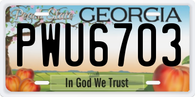 GA license plate PWU6703