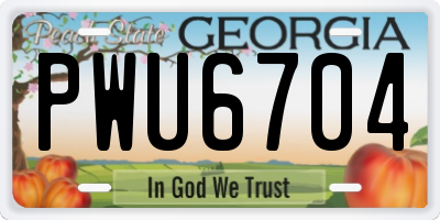 GA license plate PWU6704