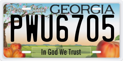 GA license plate PWU6705